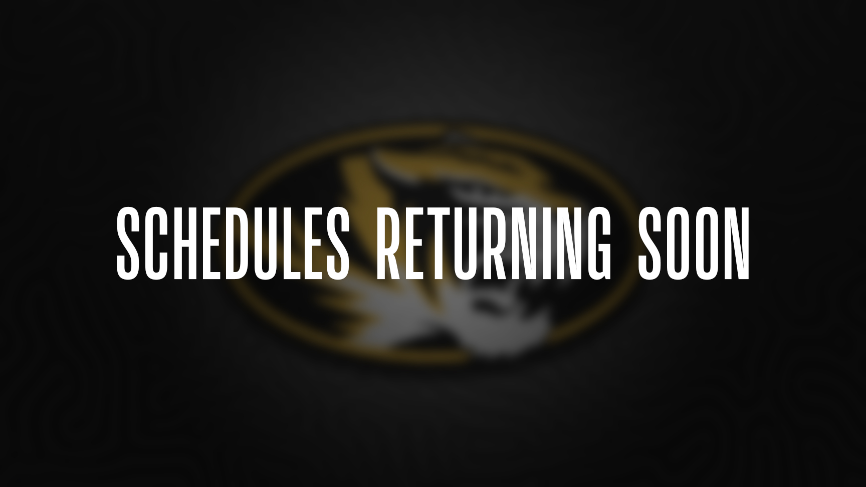 2024 Missouri Tigers wallpaper Pro Sports Backgrounds