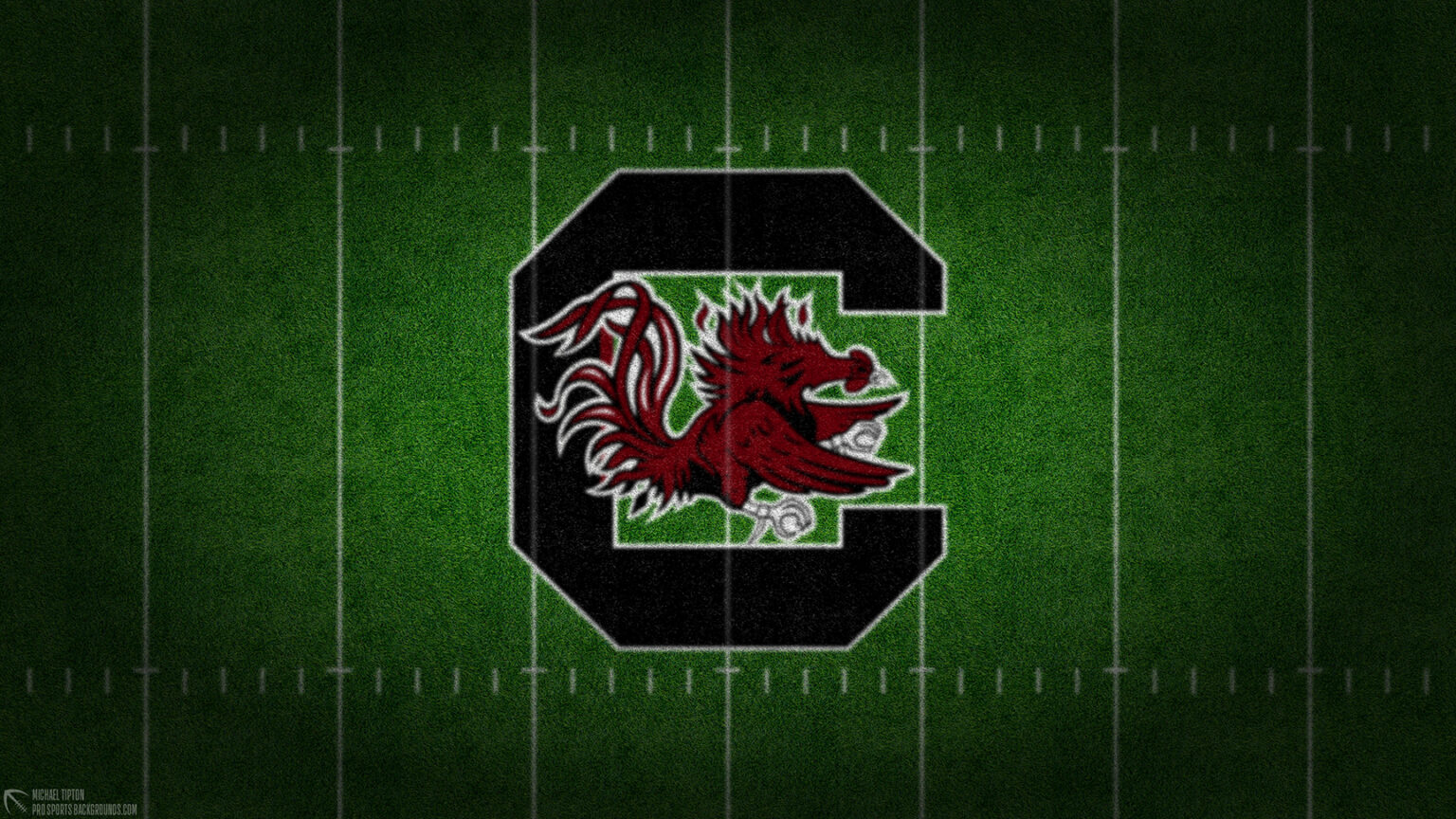 2024 South Carolina Gamecocks wallpaper – Pro Sports Backgrounds