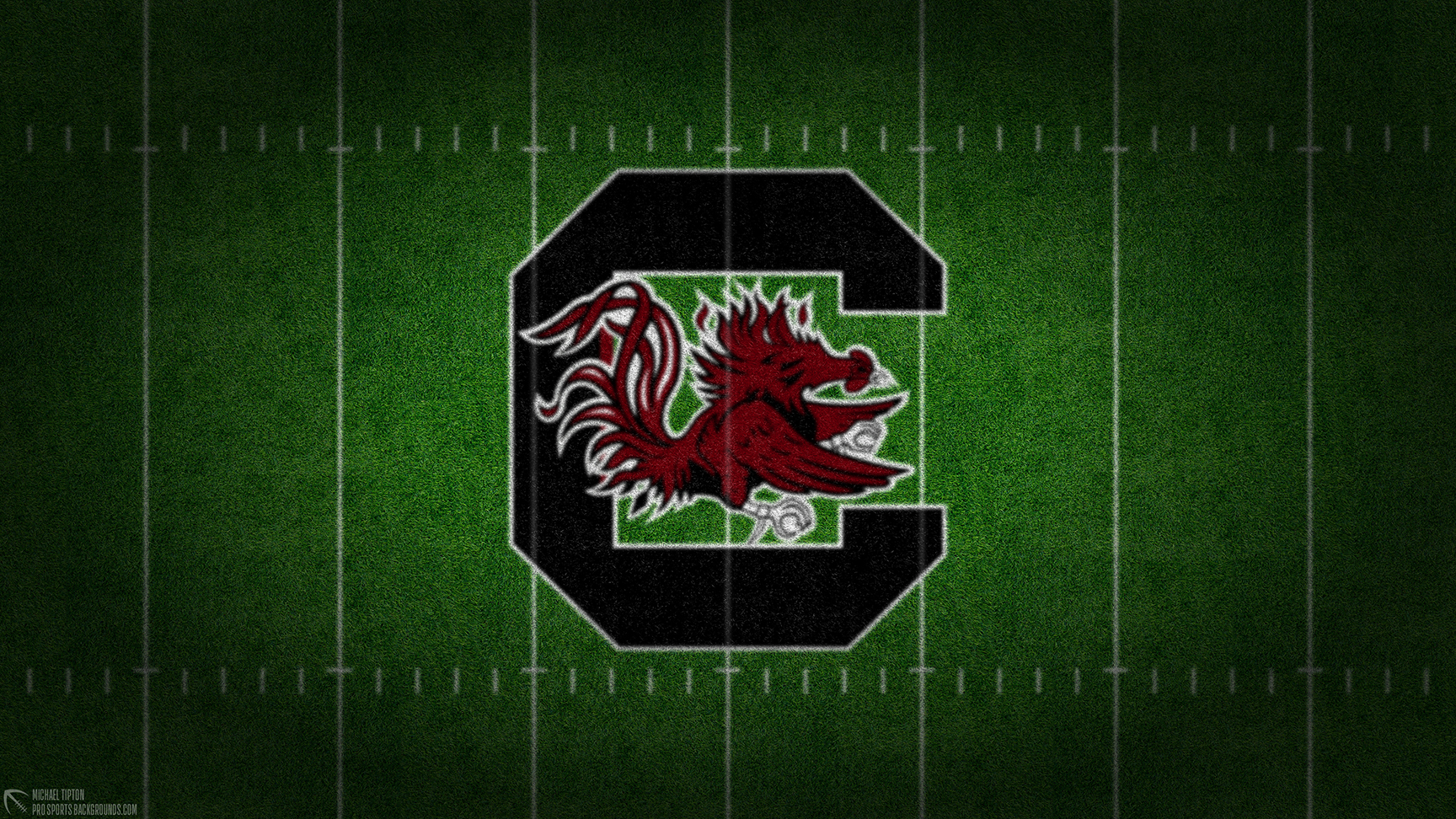 South Carolina Gamecocks wallpaper logo desktop NCAA 2024 thumb