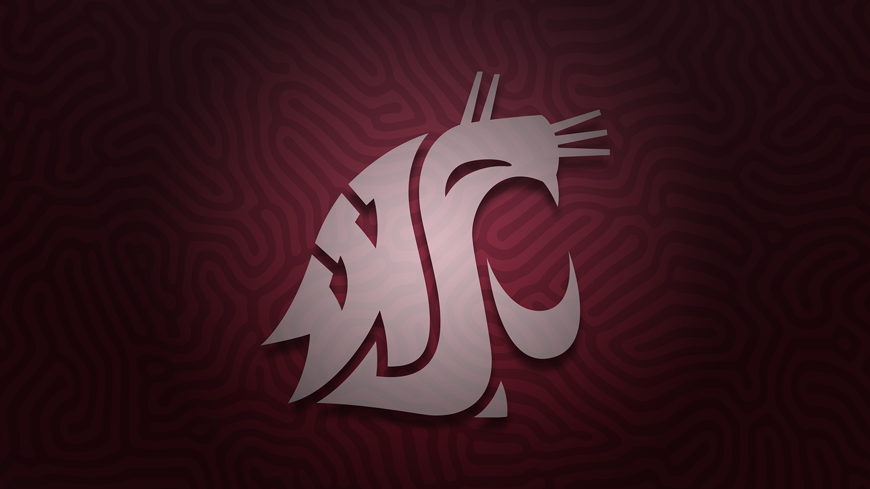 2024 Washington State Cougars wallpaper Pro Sports Backgrounds